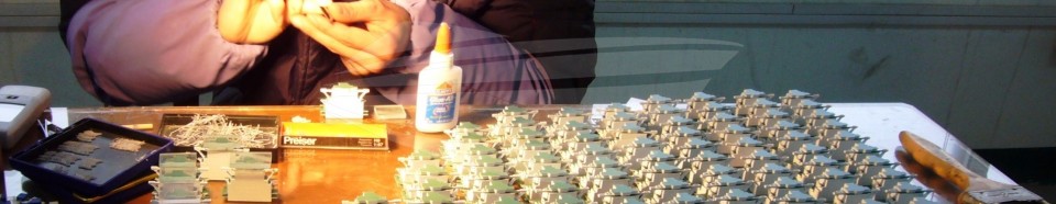 2008 24 01 hong kong 034 in page